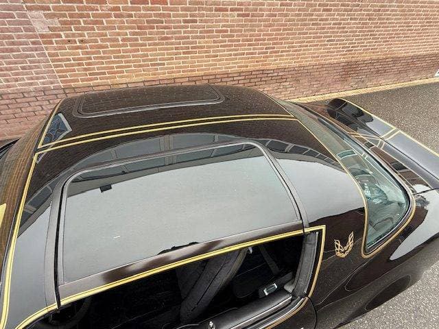 1978 Pontiac Firebird - 14