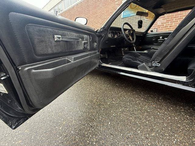 1978 Pontiac Firebird - 15