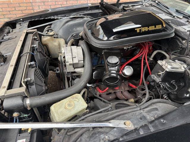 1978 Pontiac Firebird - 20