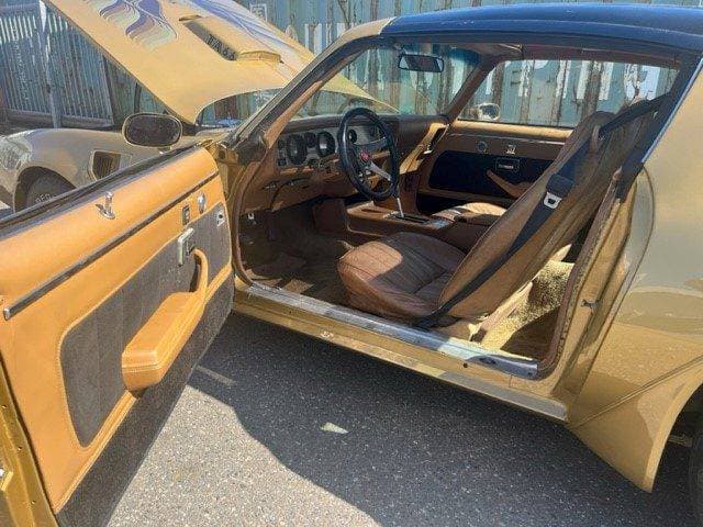 1982 Pontiac Firebird - 19