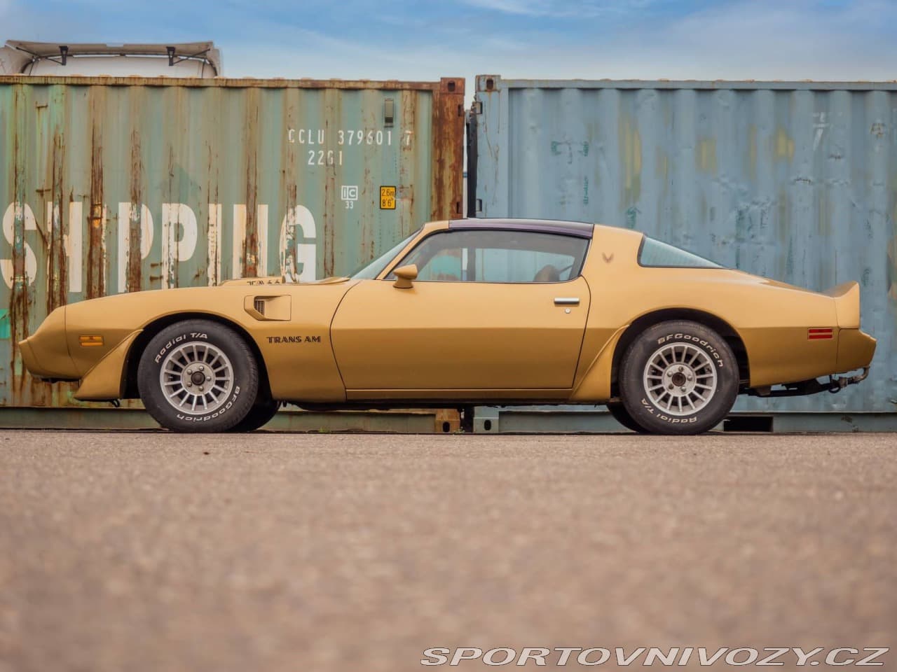 1982 Pontiac Firebird - 11