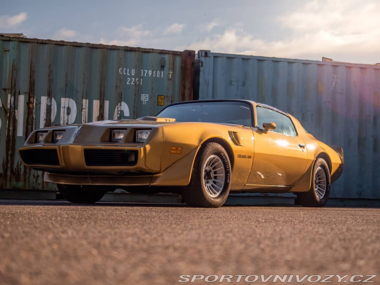 1982 Pontiac Firebird - 13
