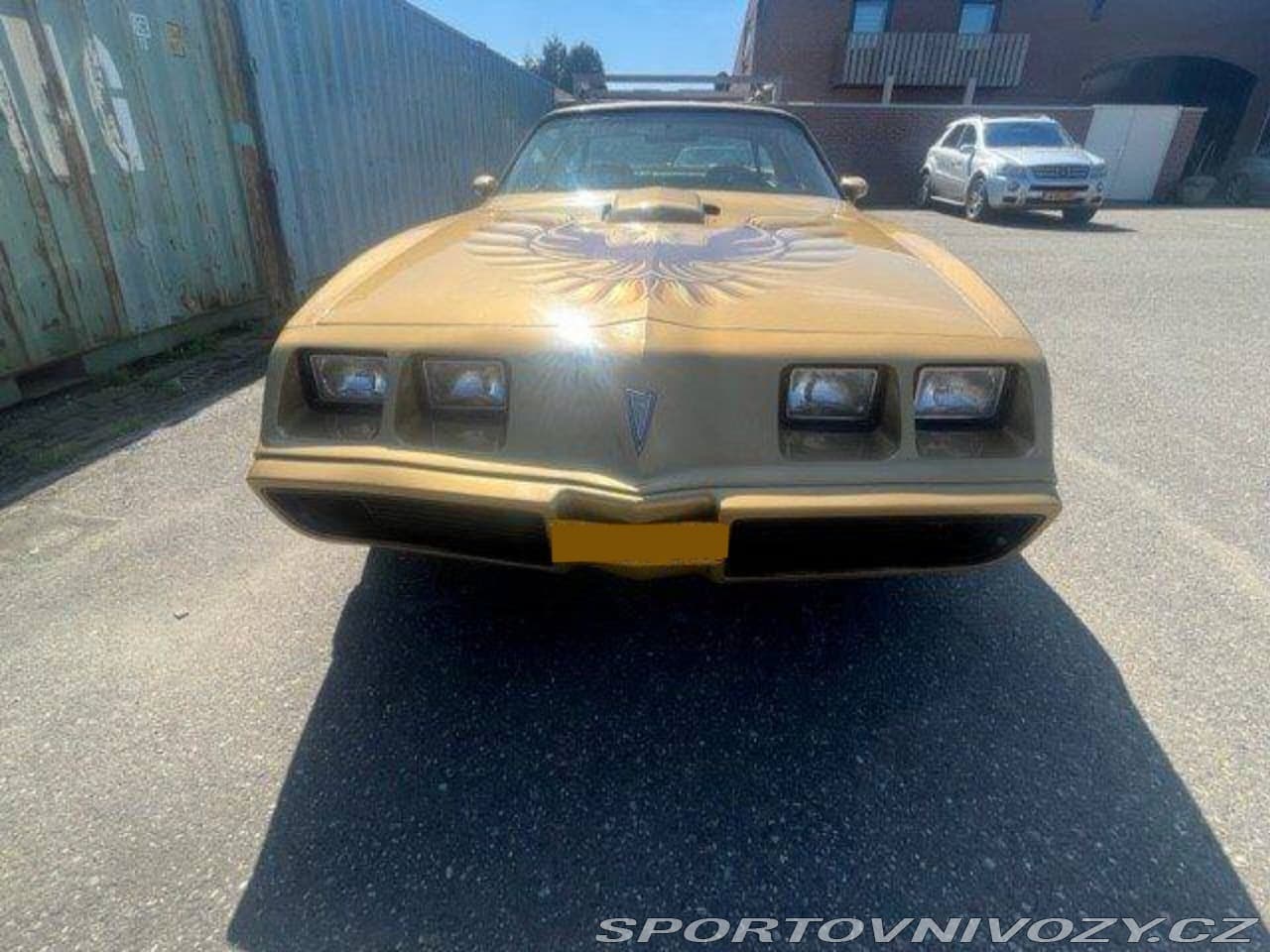 1982 Pontiac Firebird - 15