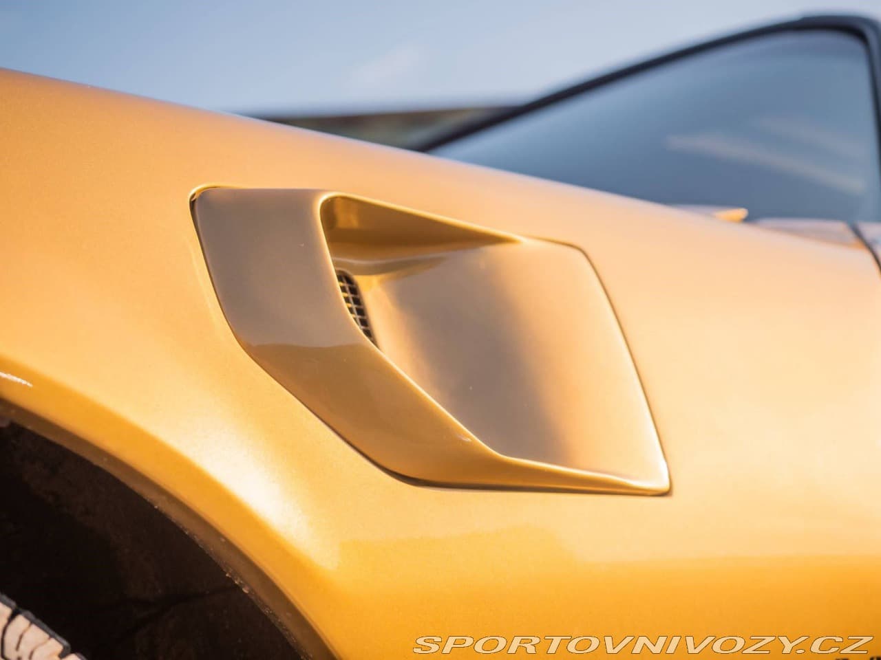 1982 Pontiac Firebird - 17