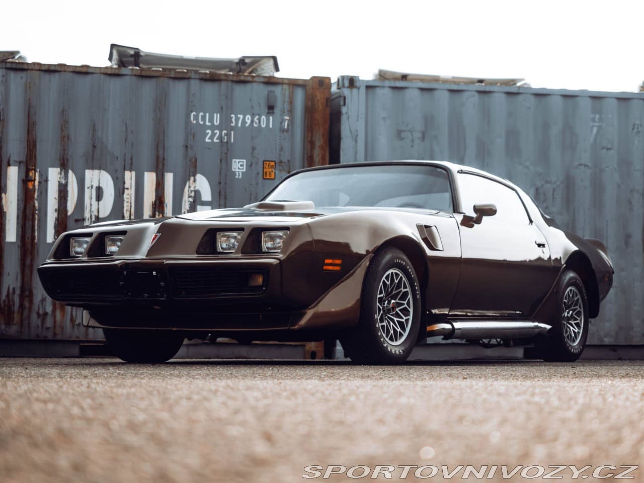 Pontiac Firebird Trans Am Targa