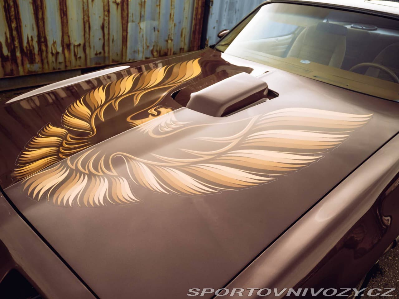 1980 Pontiac Firebird - 10