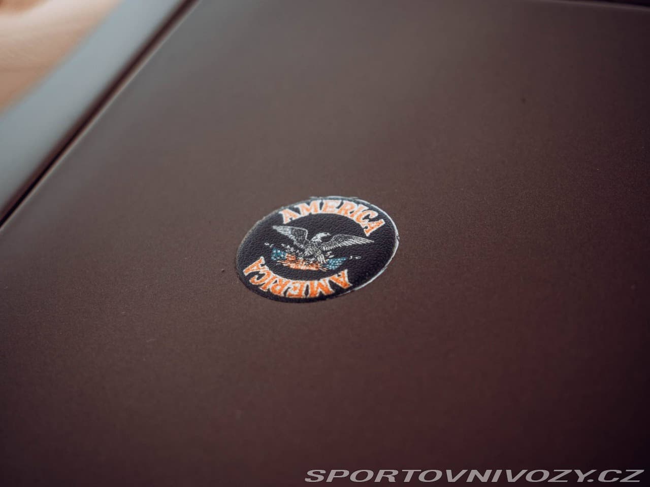 1980 Pontiac Firebird - 13