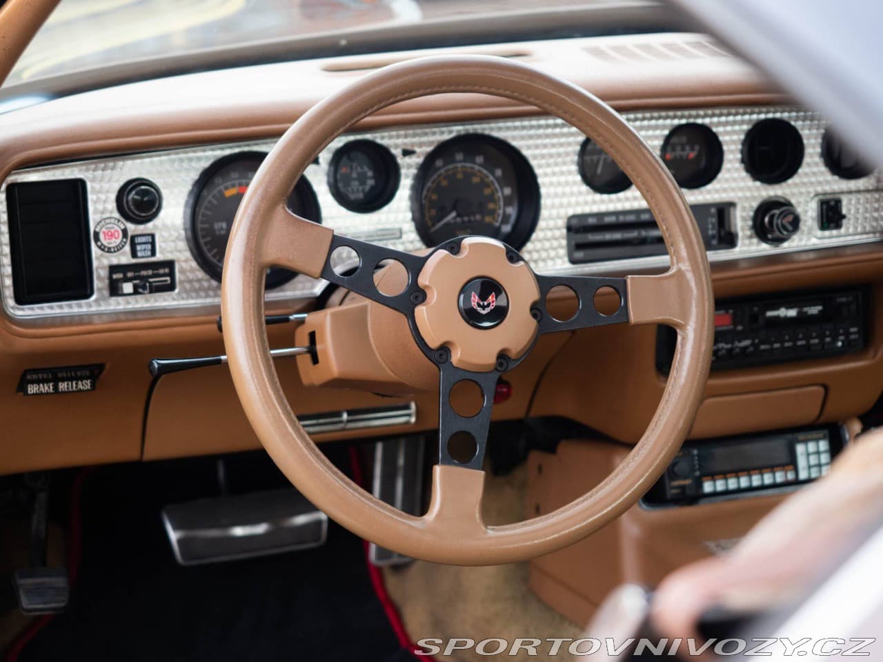 1980 Pontiac Firebird - 14