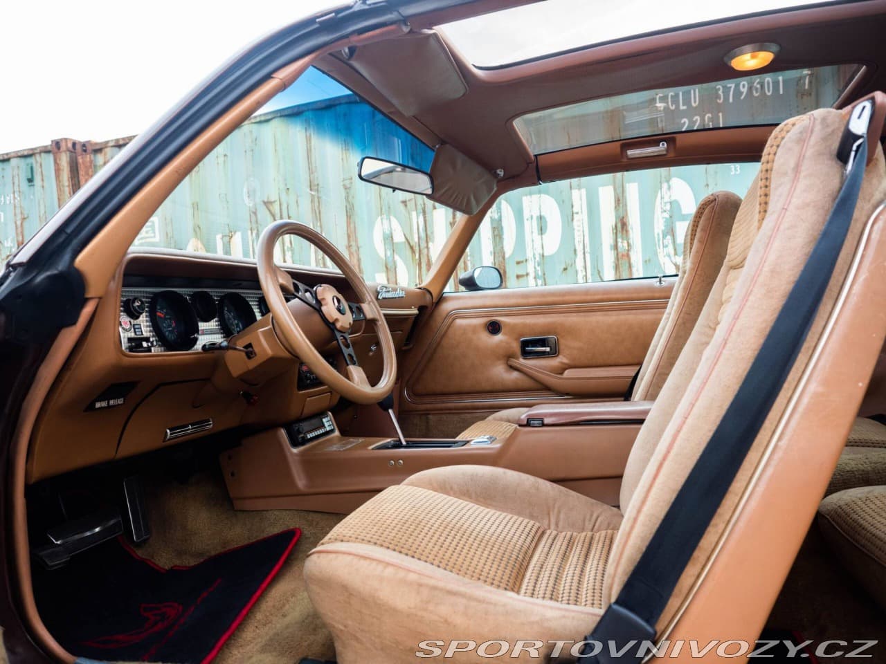 1980 Pontiac Firebird - 15