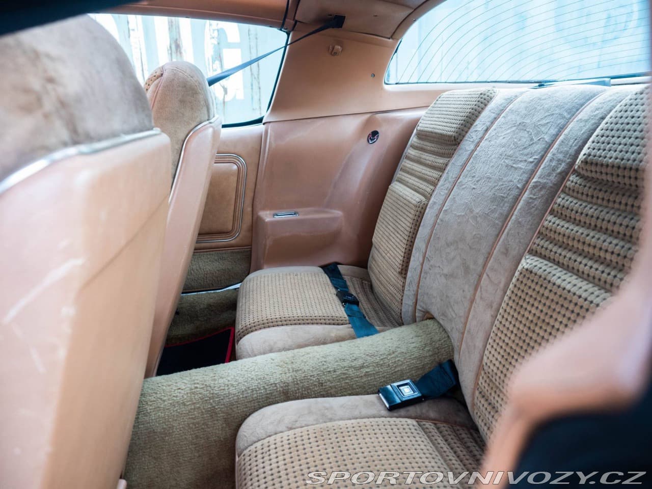 1980 Pontiac Firebird - 16