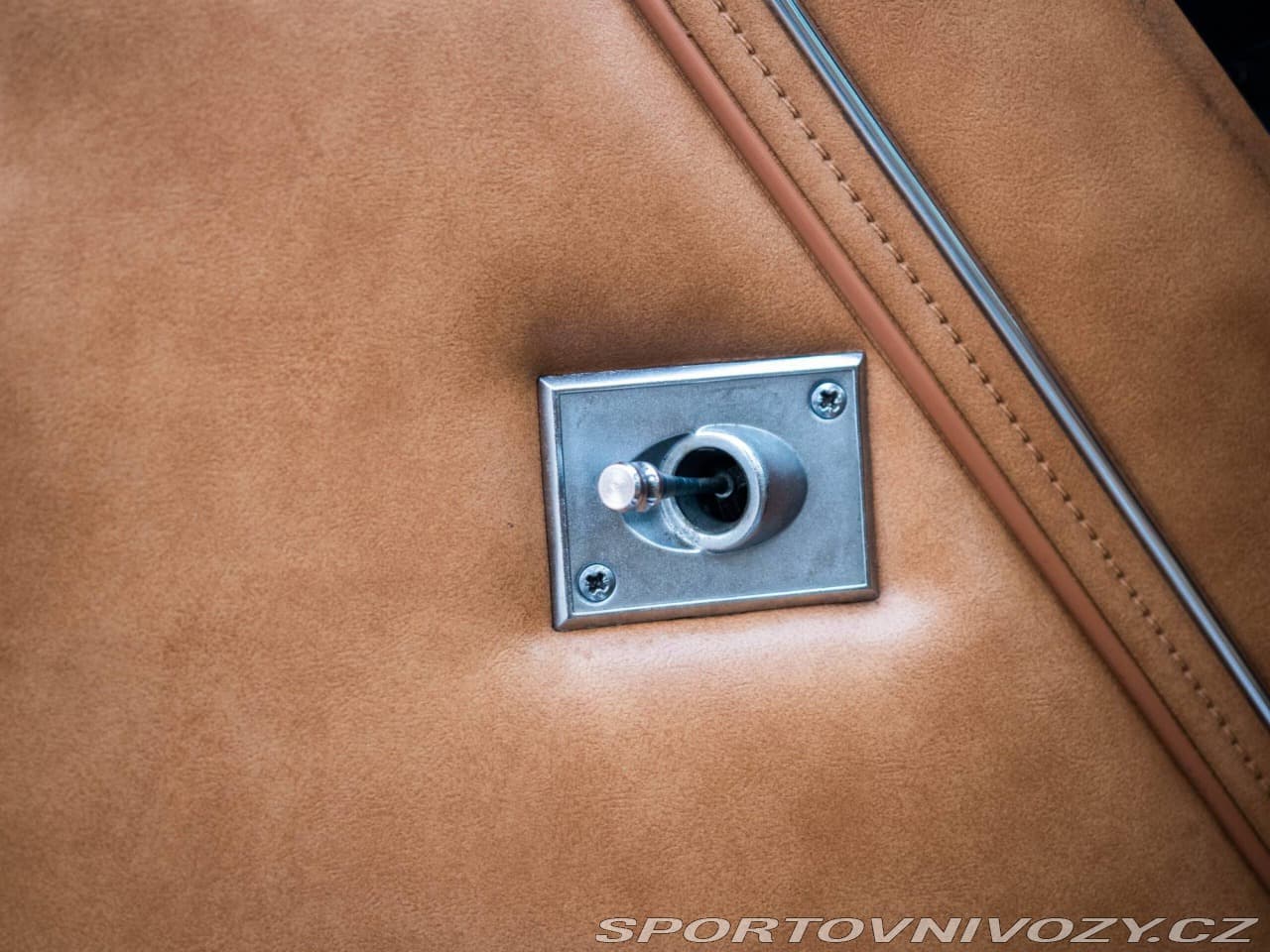 1980 Pontiac Firebird - 19