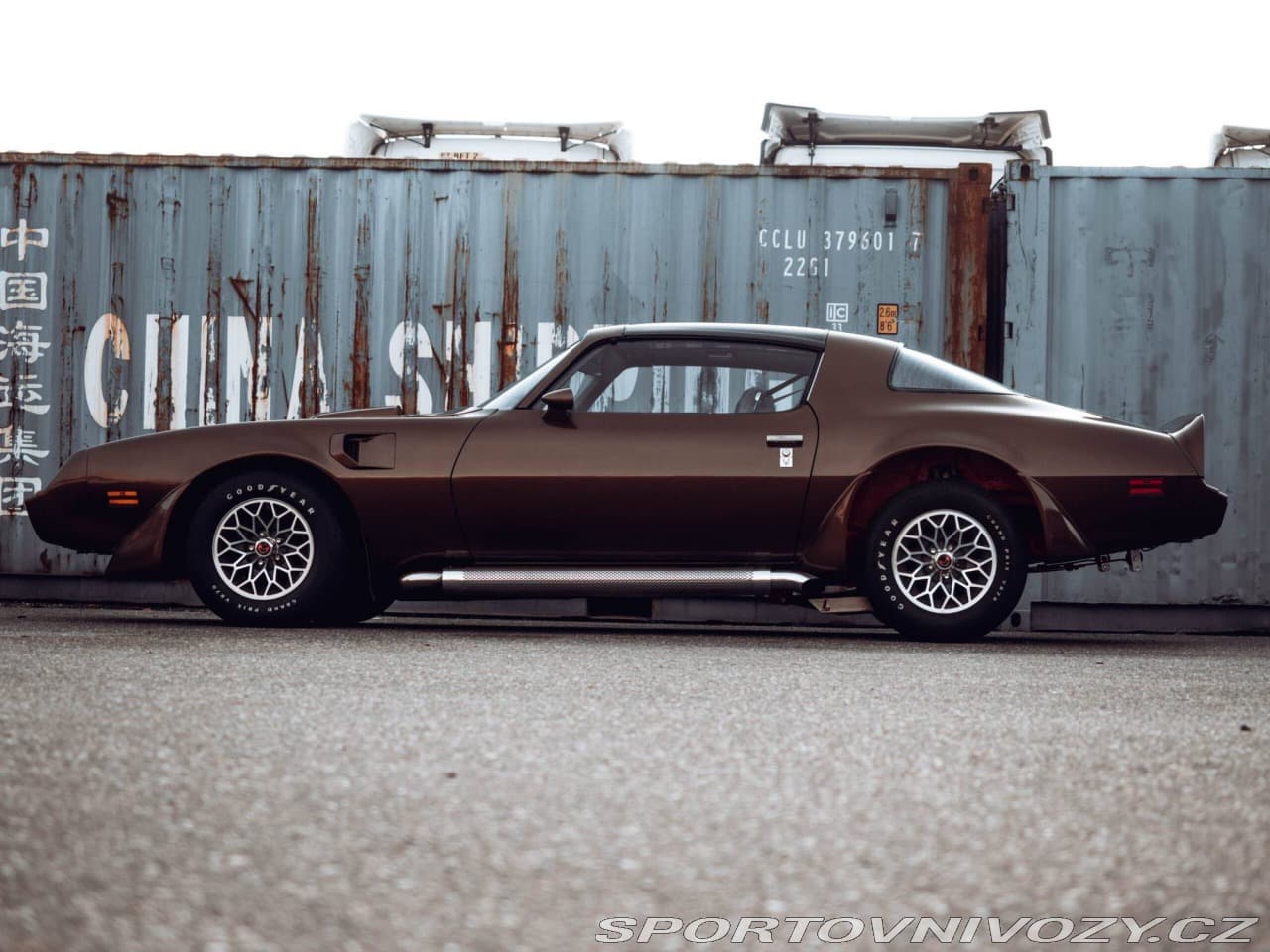 1980 Pontiac Firebird - 2