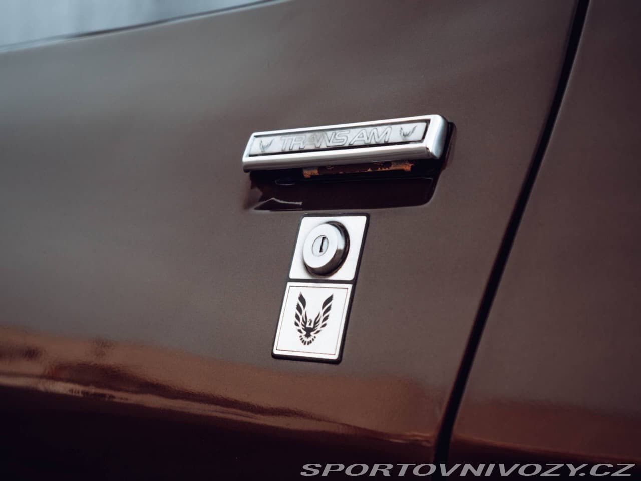 1980 Pontiac Firebird - 4