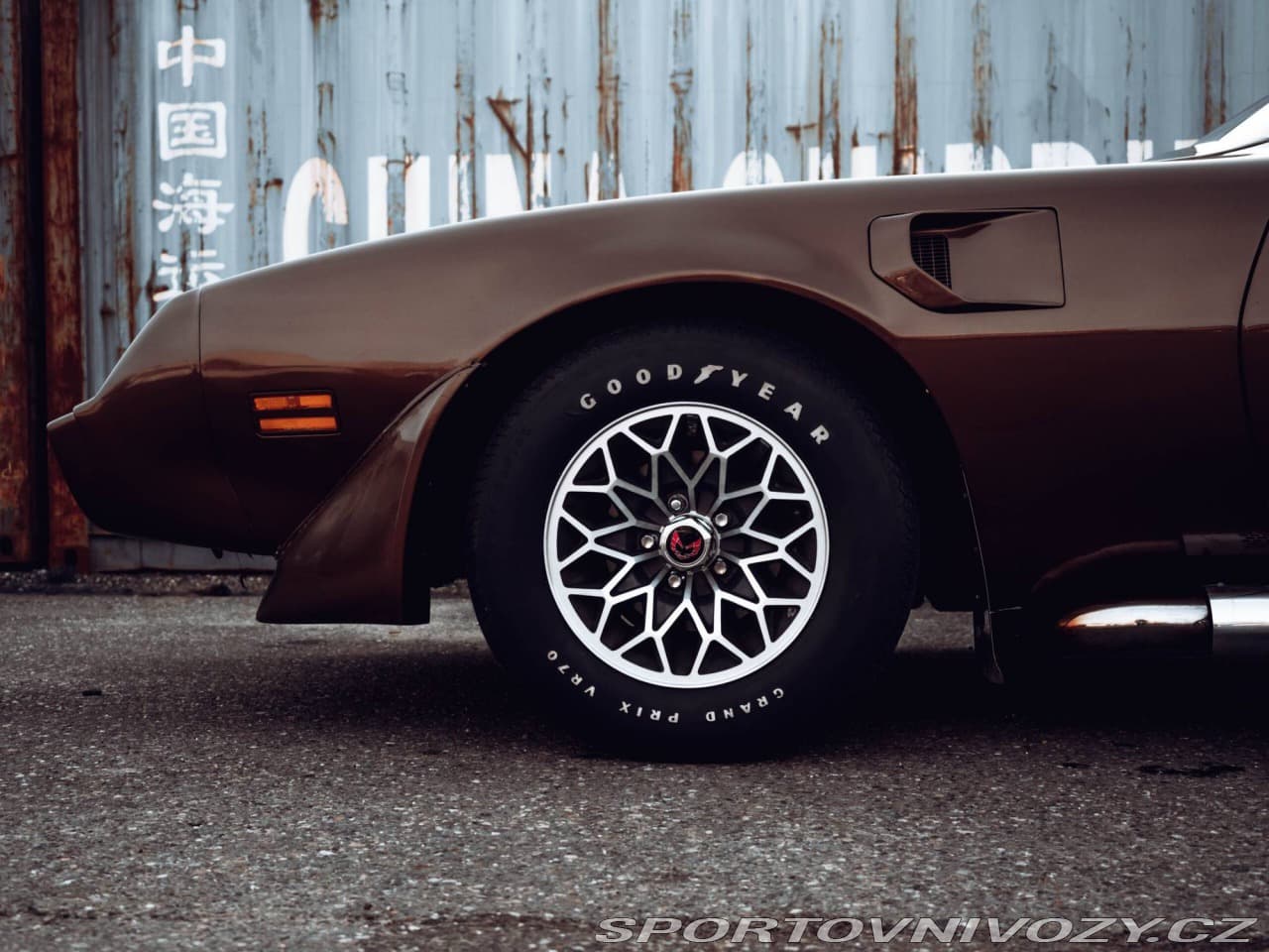 1980 Pontiac Firebird - 5