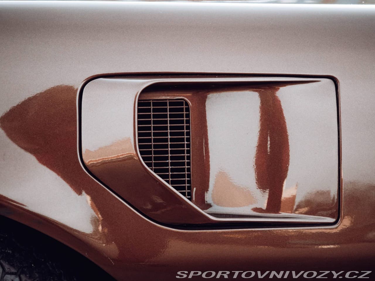 1980 Pontiac Firebird - 7