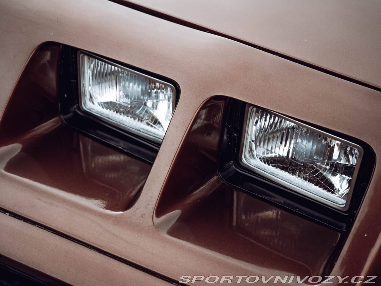 1980 Pontiac Firebird - 9