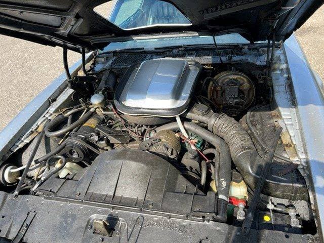 1977 Pontiac Firebird - 19