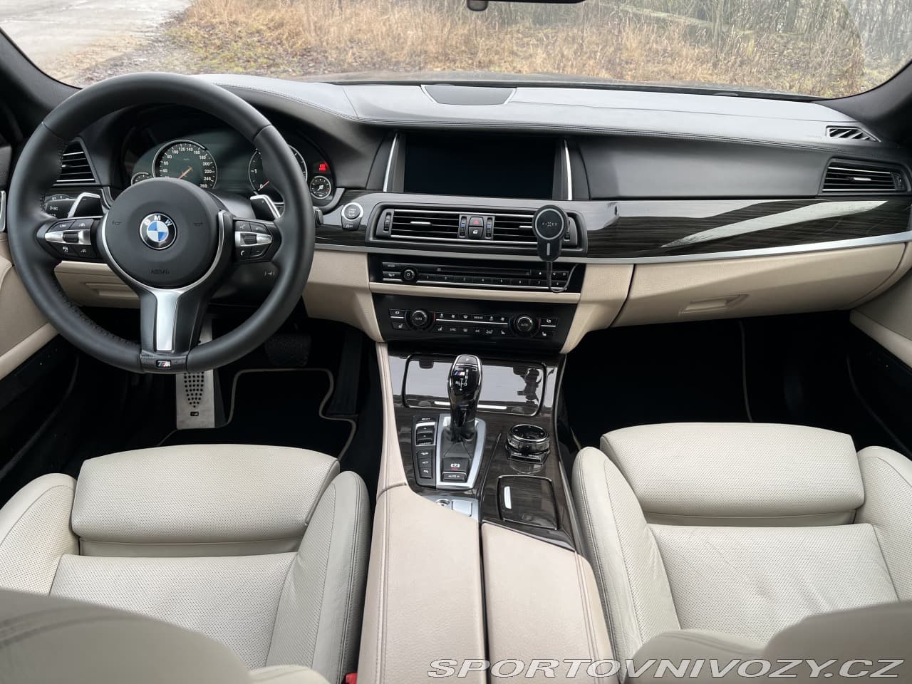 2015 BMW 5-Series - 16
