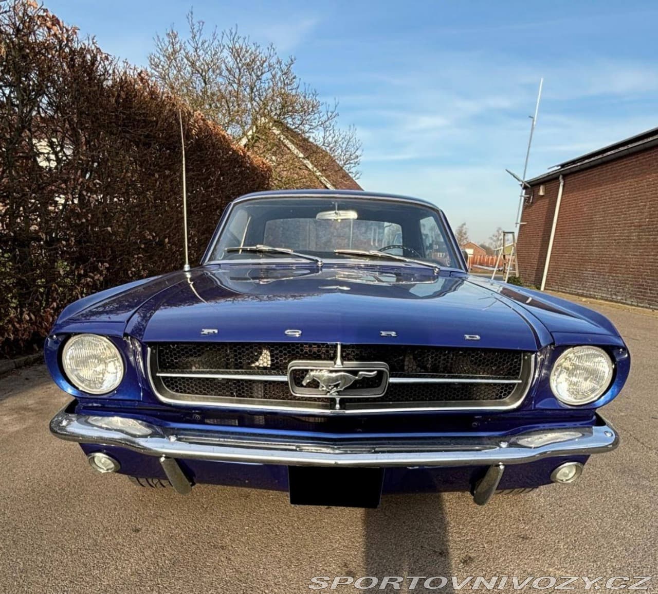 1965 Ford Mustang - 2