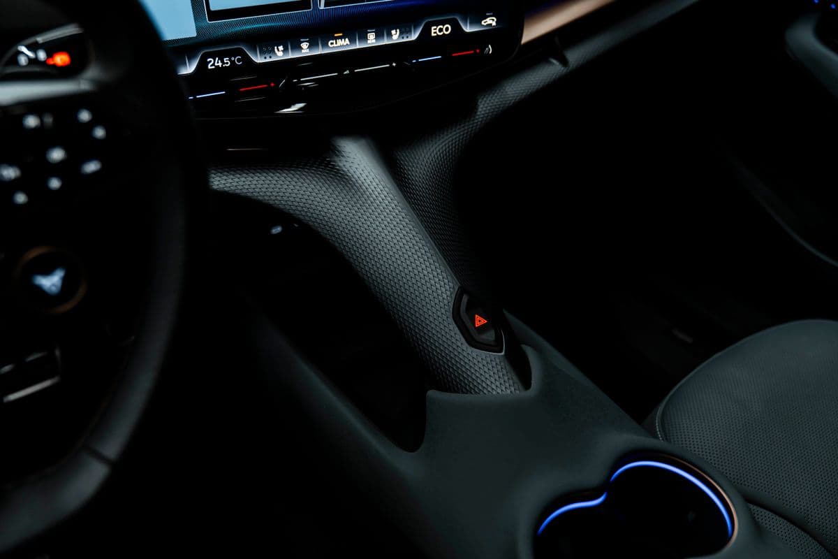 2024 Cupra Ostatní - 11