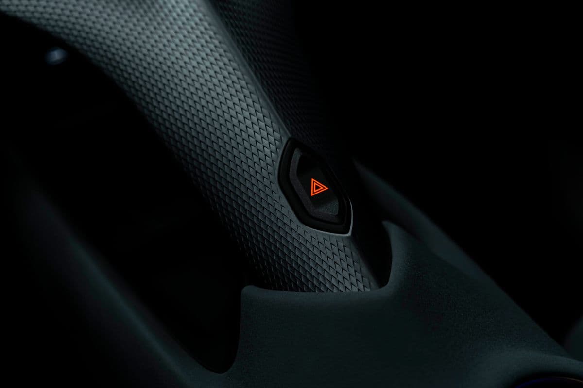 2024 Cupra Ostatní - 12