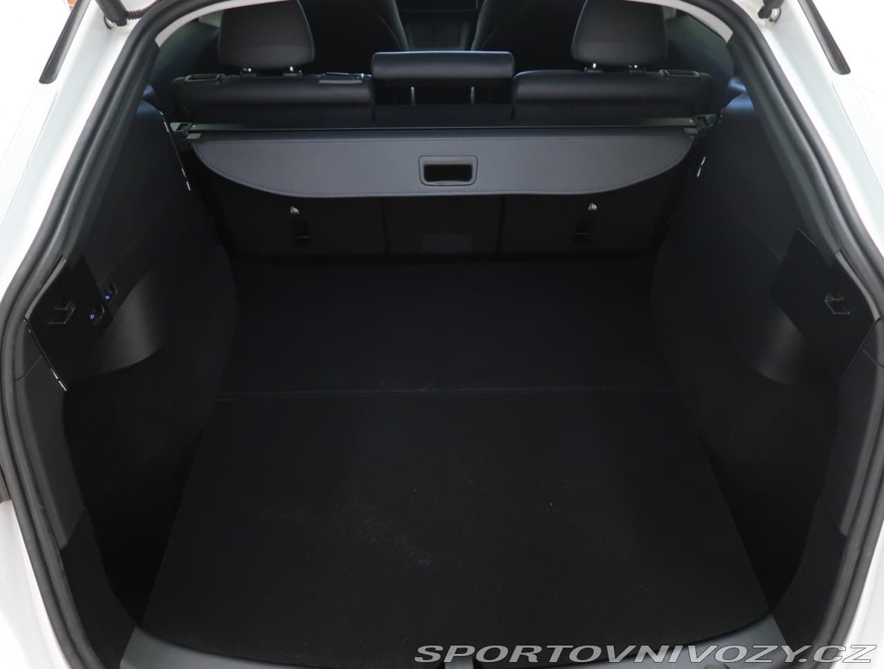 2021 Tesla Model Y - 13