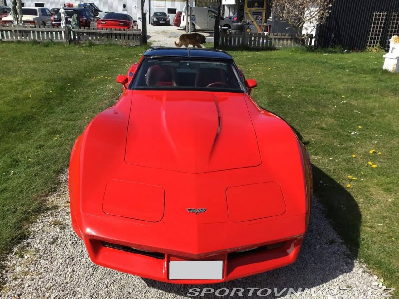1982 Chevrolet CORVETTE - 2