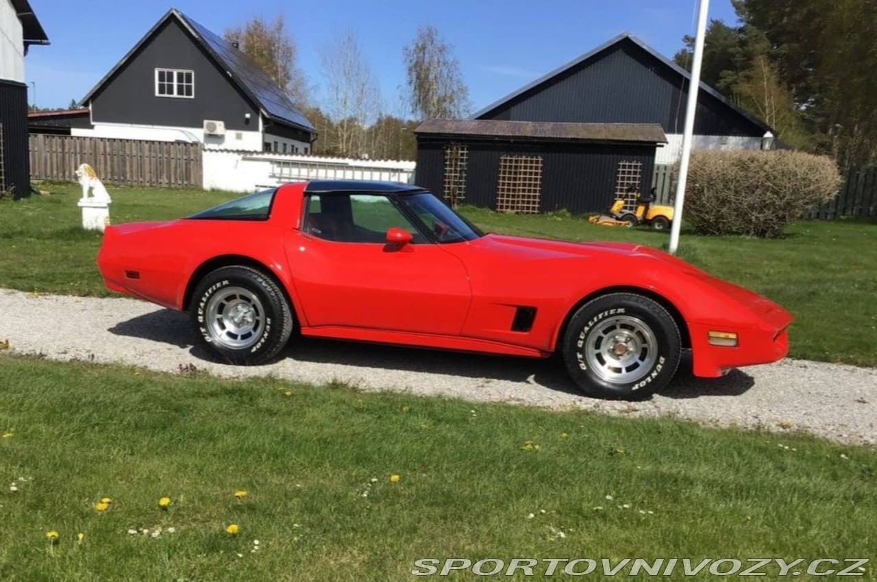 1982 Chevrolet CORVETTE - 3