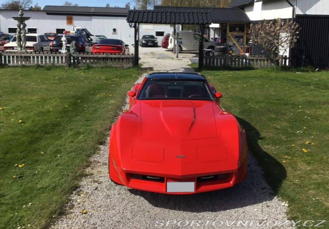 1982 Chevrolet CORVETTE - 4
