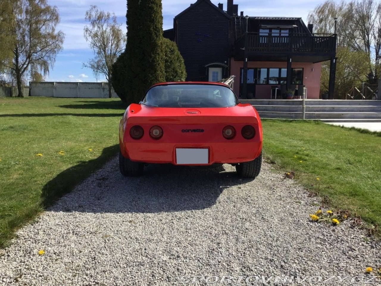 1982 Chevrolet CORVETTE - 5