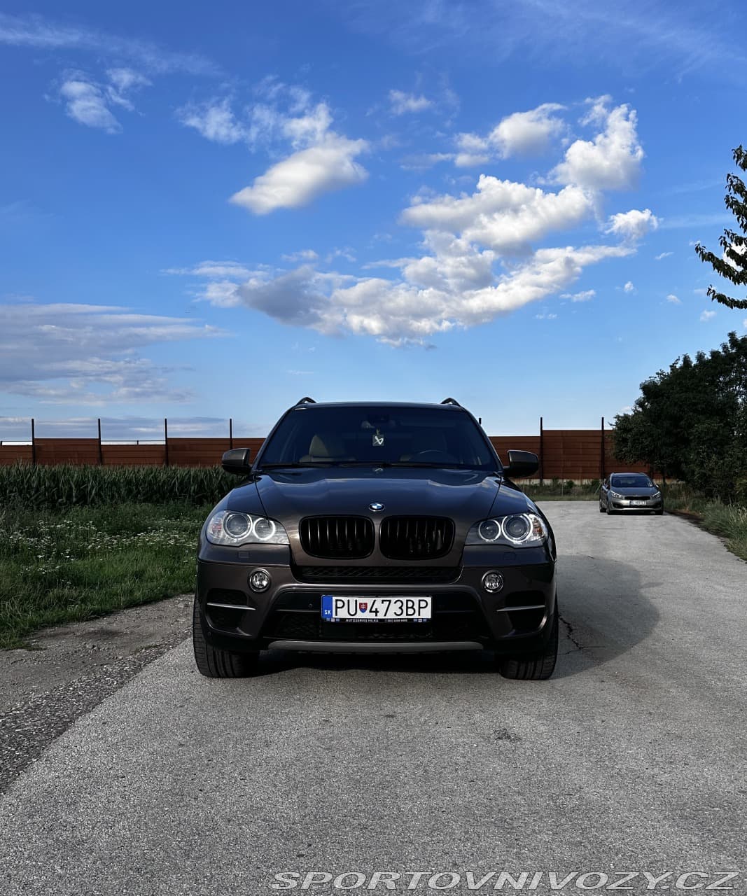 2010 BMW X5 - 2