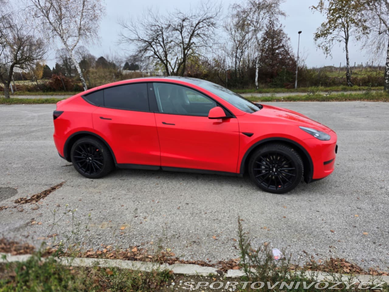 2023 Tesla Model Y - 3