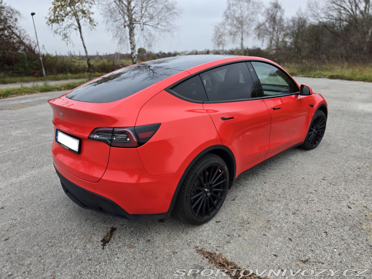 2023 Tesla Model Y - 4