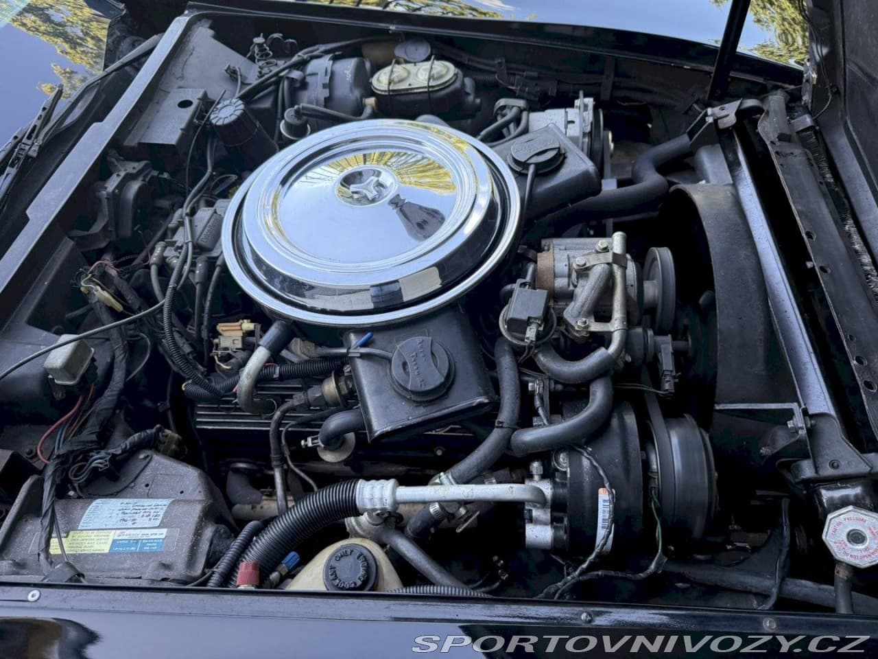 1981 Chevrolet Corvette - 18