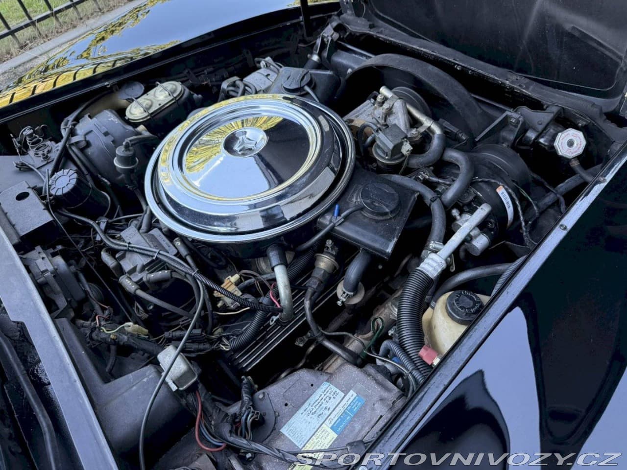 1981 Chevrolet Corvette - 19