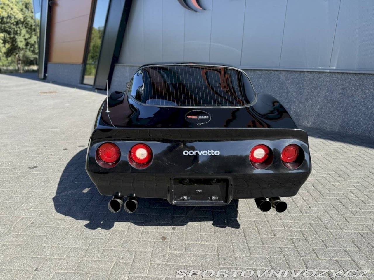 1981 Chevrolet Corvette - 3