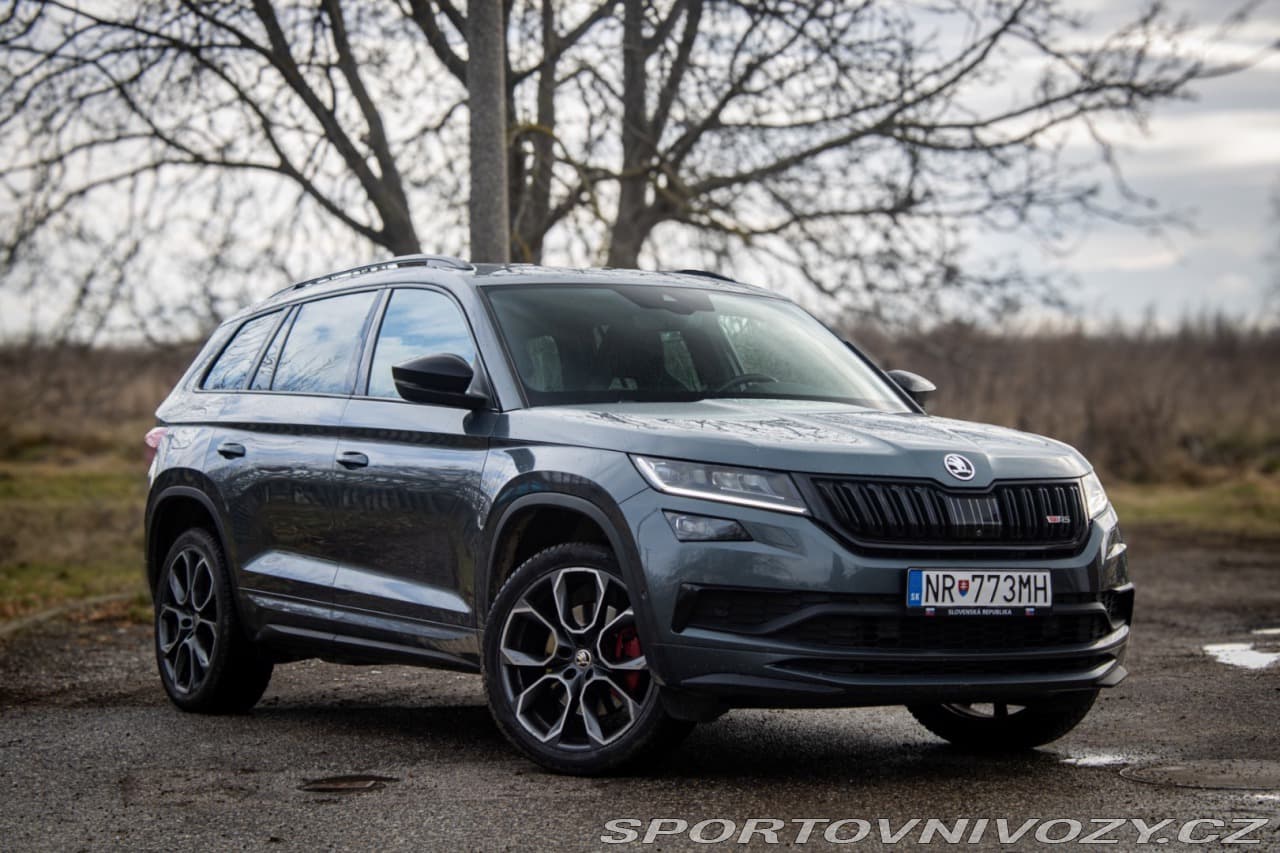 2019 Škoda Kodiaq - 3