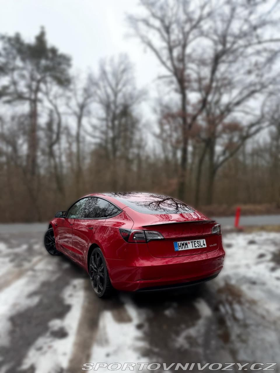 2019 Tesla Model 3 - 2