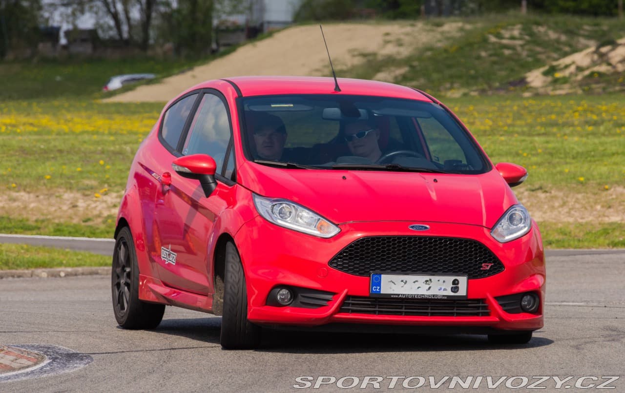 2013 Ford Fiesta - 3