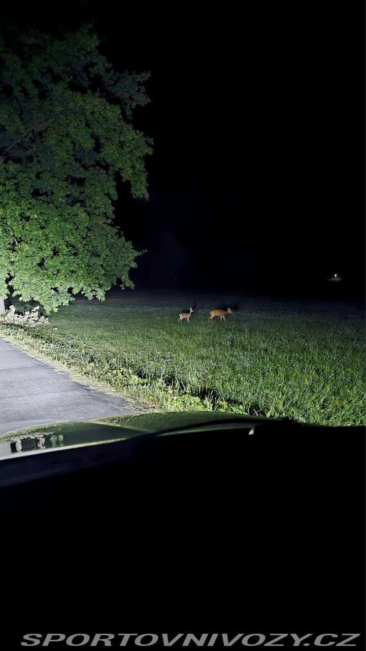 2002 Škoda Octavia - 3