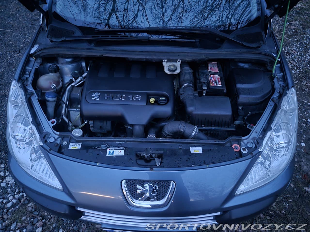 2006 Peugeot 307 - 10
