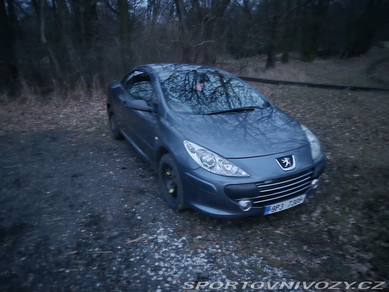 2006 Peugeot 307 - 3
