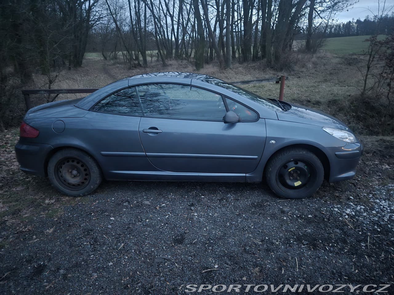 2006 Peugeot 307 - 4