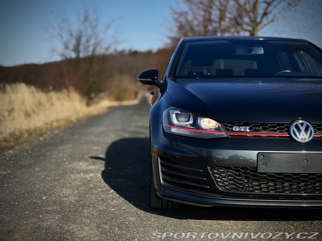 2014 Volkswagen Golf - 3
