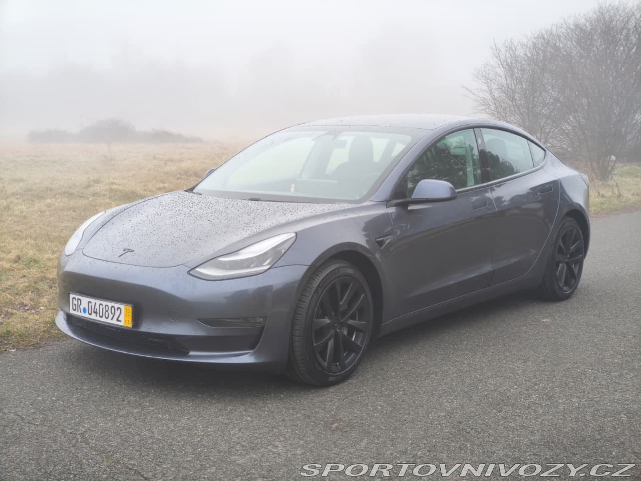 2020 Tesla Model 3 - 6