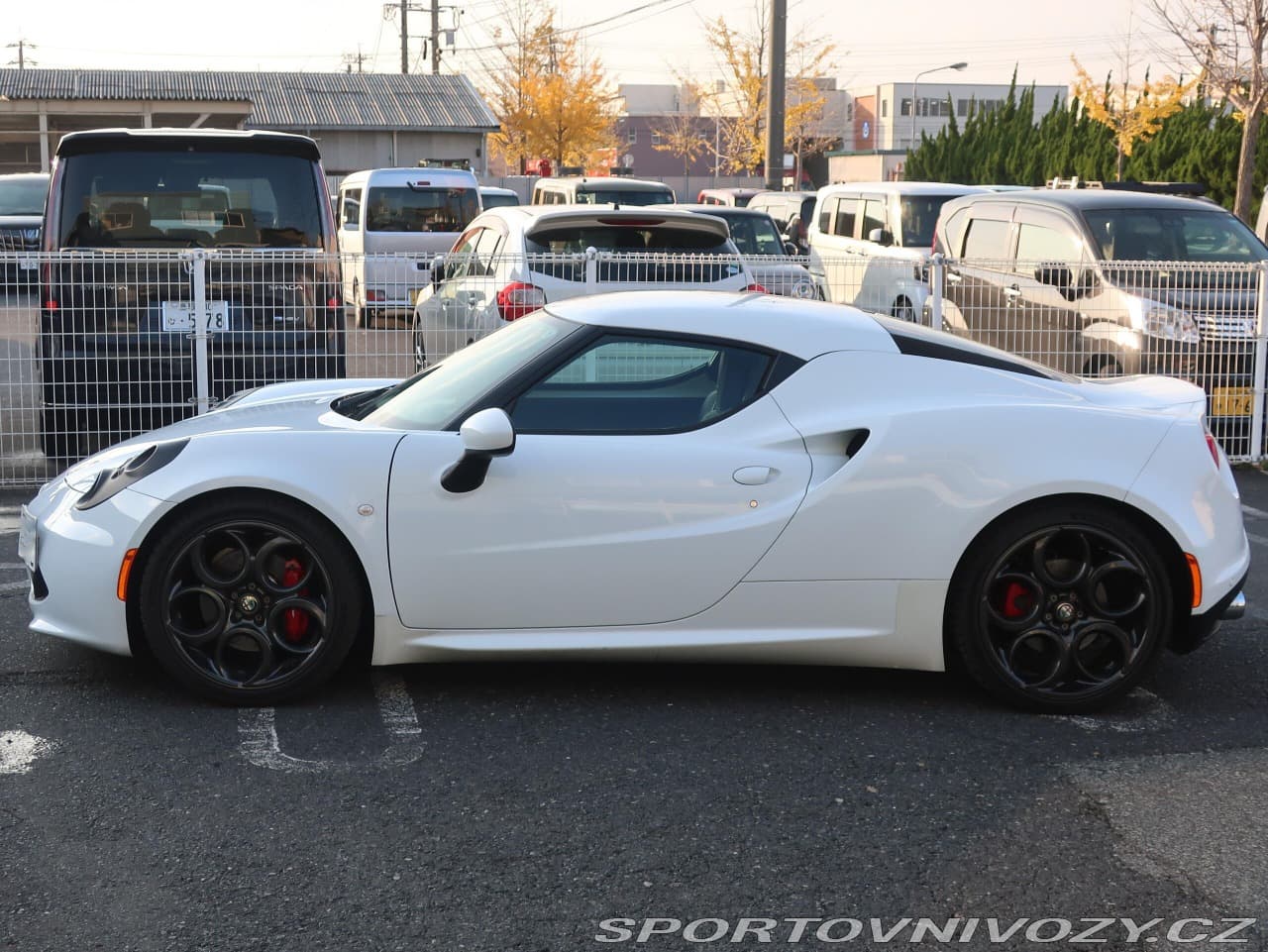 2015 Alfa Romeo 4c - 2