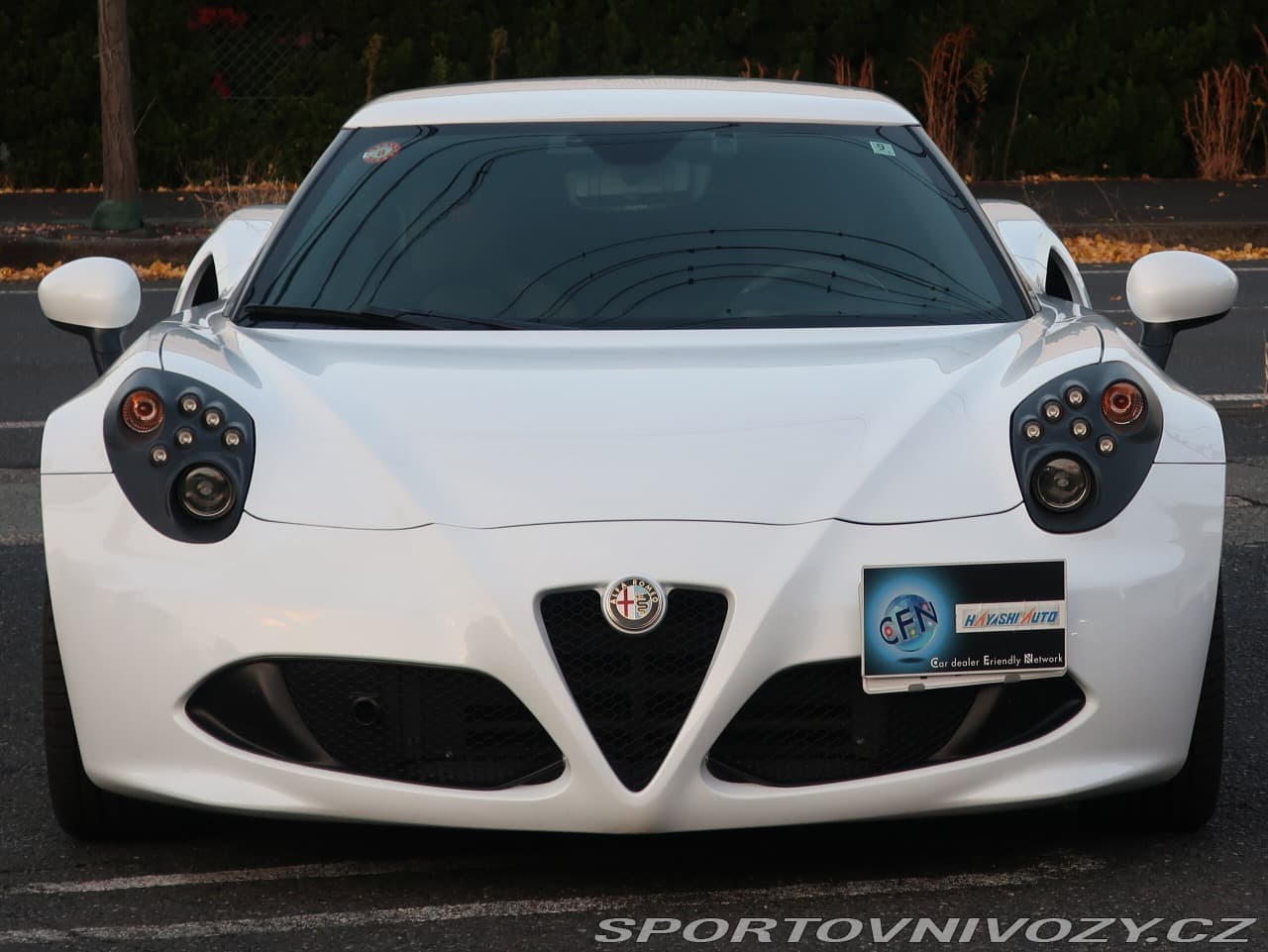 2015 Alfa Romeo 4c - 4