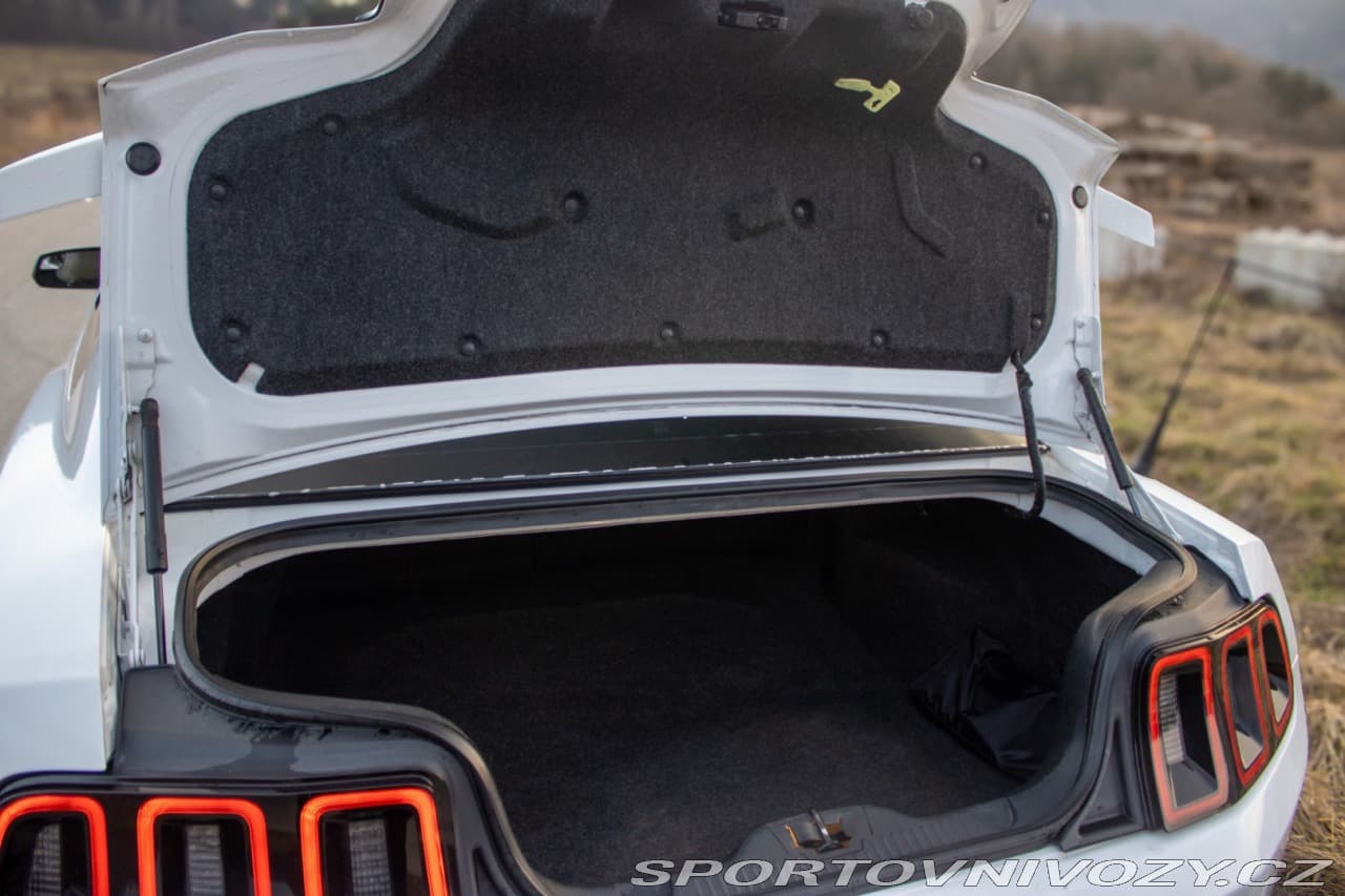 2014 Ford Mustang - 17