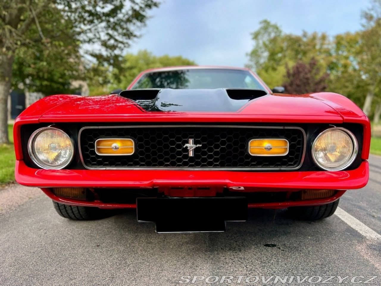 1972 Ford Mustang - 3
