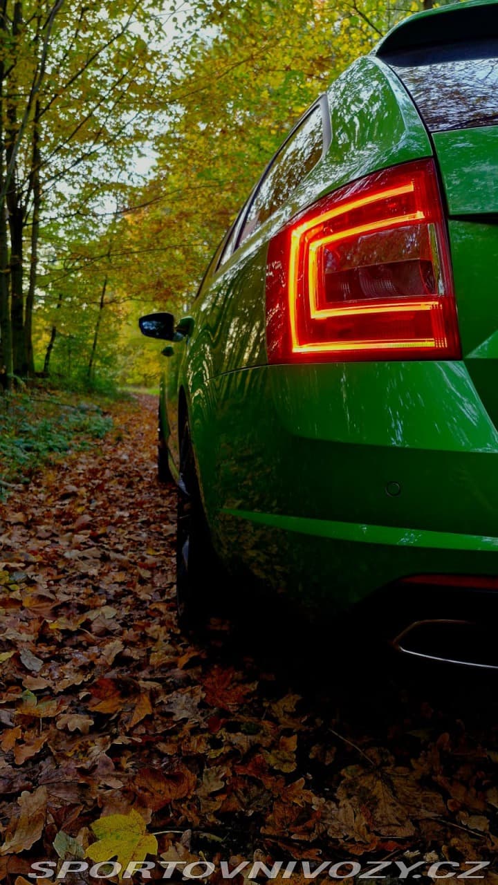 2014 Škoda Octavia - 12